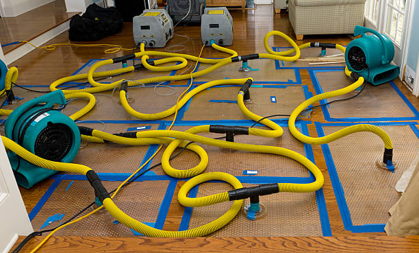 Professional Basement Flood Cleanup technician working in East Walpole, MA